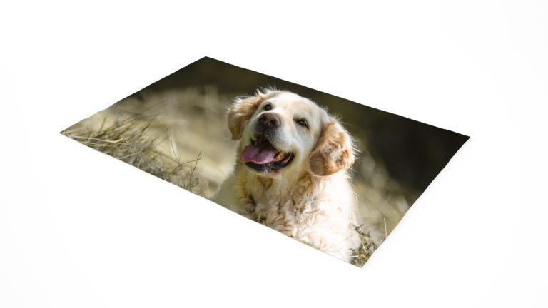 Tapis de souris personnalisé - Photographie canine - Sarrebourg - Moselle - Suisse - Jura