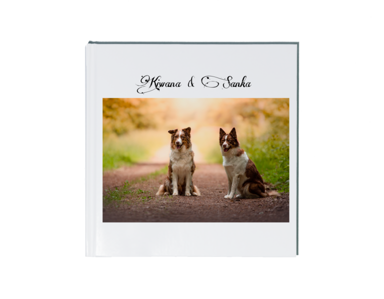 livre photo personnalisé - Photographie canine - Sarrebourg - Moselle - Suisse - Jura