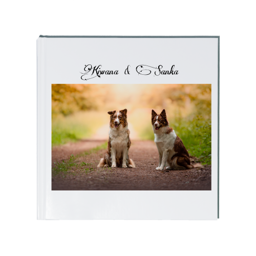 livre photo personnalisé - Photographie canine - Sarrebourg - Moselle - Suisse - Jura